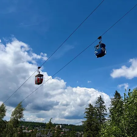 Lavita Harz