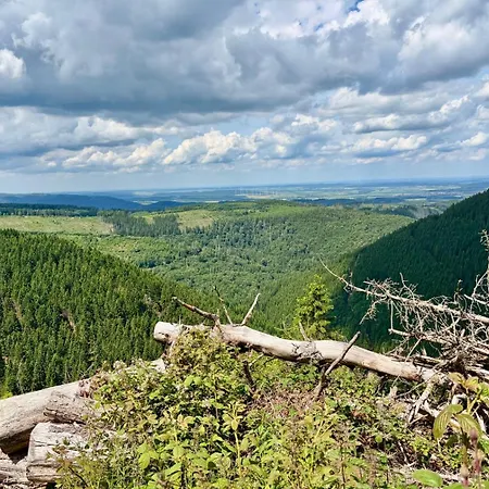 Lavita Harz Apartmán *