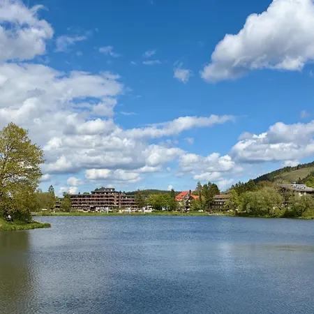 Lavita Harz * Goslar